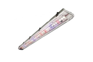 TCP Horticulture Luminaire