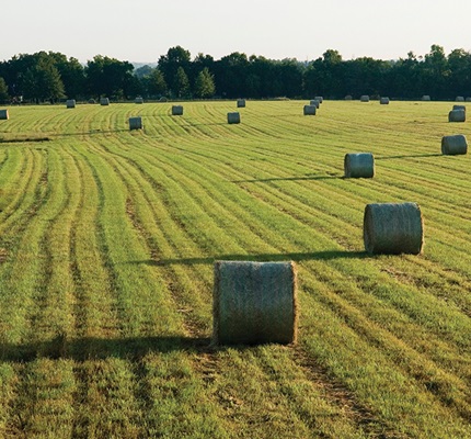 USDA Announces Funding For Rural Electric Infrastructure Projects 