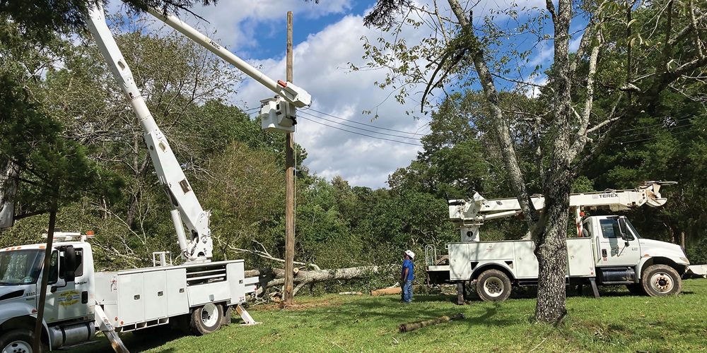 Truck and worker next to a utility pole in a field by trees. Image by Buffalo Electric Inc.