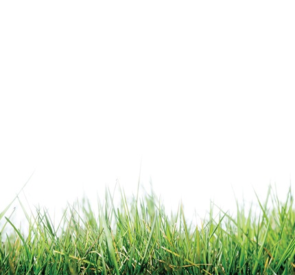 The Grass Is Greener In The Hospitality Industry 
