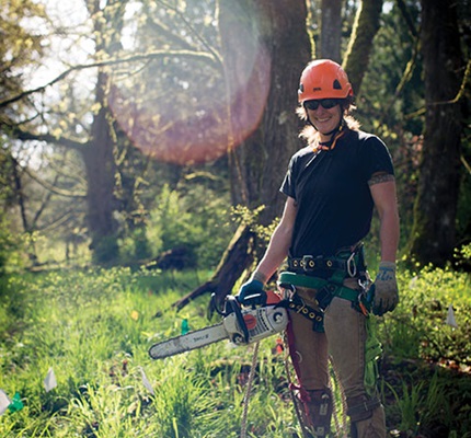 Smart Choice: Know the right tree for the right place