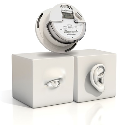 The Eyes and Ears of Smart Grids: Electric Meters