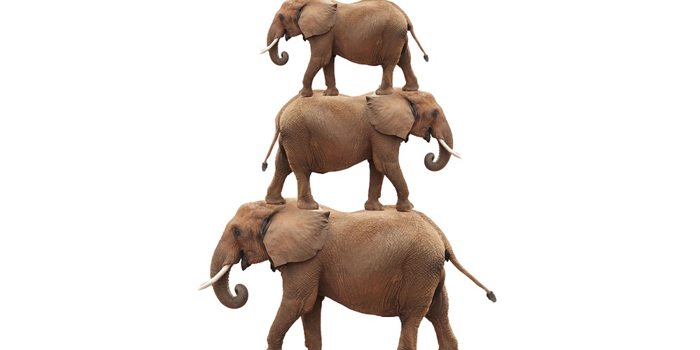 Shutterstock image of stacked elephants The Elephants in the Room: Three Issues Every Exit Plan Must Address