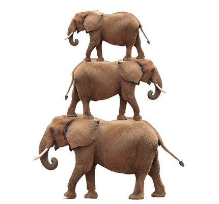 Shutterstock image of stacked elephants The Elephants in the Room: Three Issues Every Exit Plan Must Address