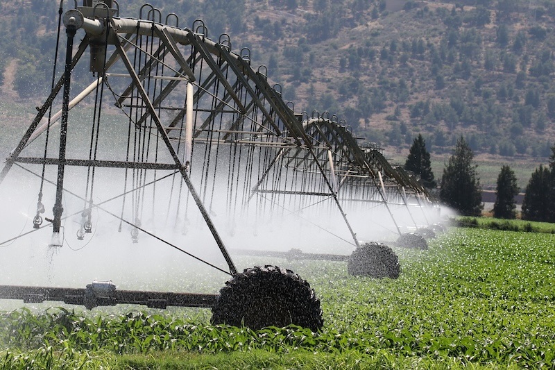 Farm irrigation / agriculture / crops / efficient irrigation