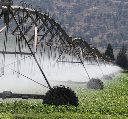 Farm irrigation / agriculture / crops / efficient irrigation