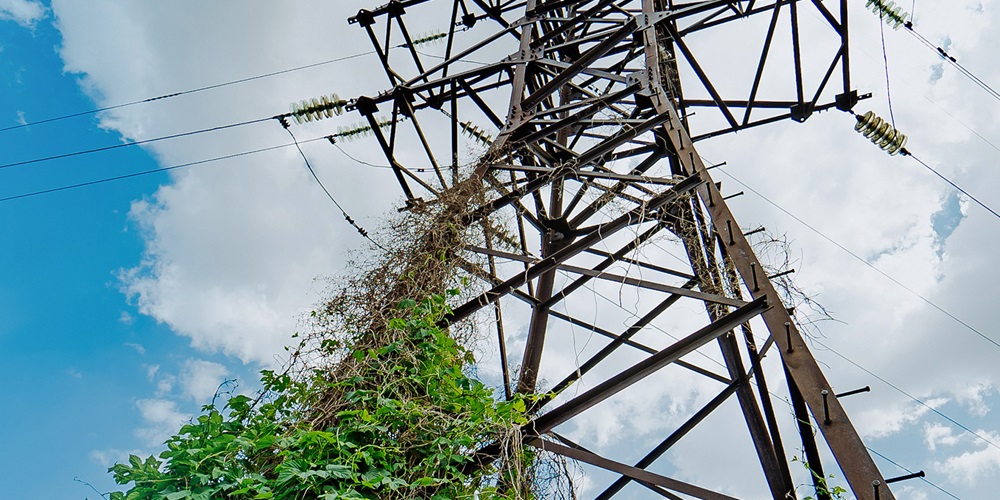 IBM, Oncor Team Up for Predictive Utility Maintenance