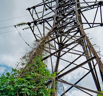 IBM, Oncor Team Up for Predictive Utility Maintenance