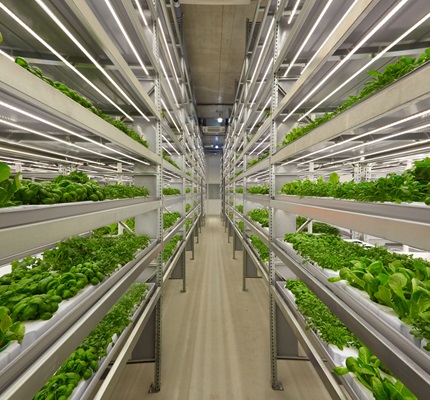 Horticultural Lighting Market Switching On