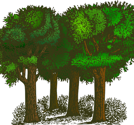 Can You Ever Suspend Wiring from Trees?