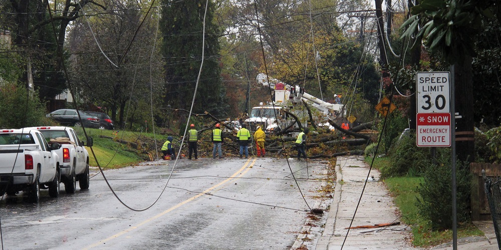 utility arborists in a storm