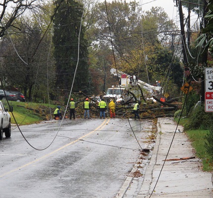 utility arborists in a storm