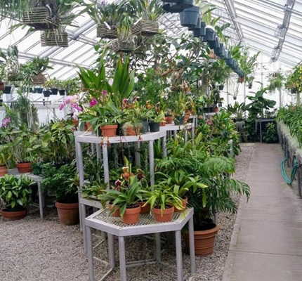 Horticultural Lighting Market Ready to Grow