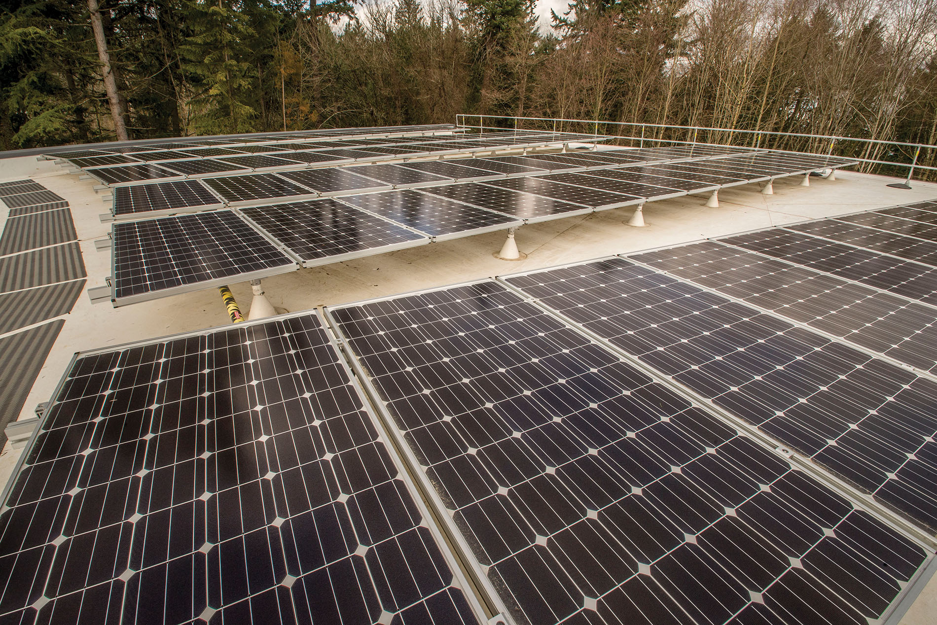 Solar panels were mounted on the Forest Hall roof at the Oregon Zoo. Credit: Oregon Zoo / Michael Durham