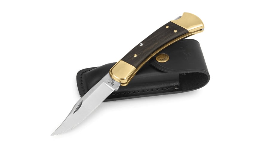 Buck Knives Buck 110 folding hunter knife