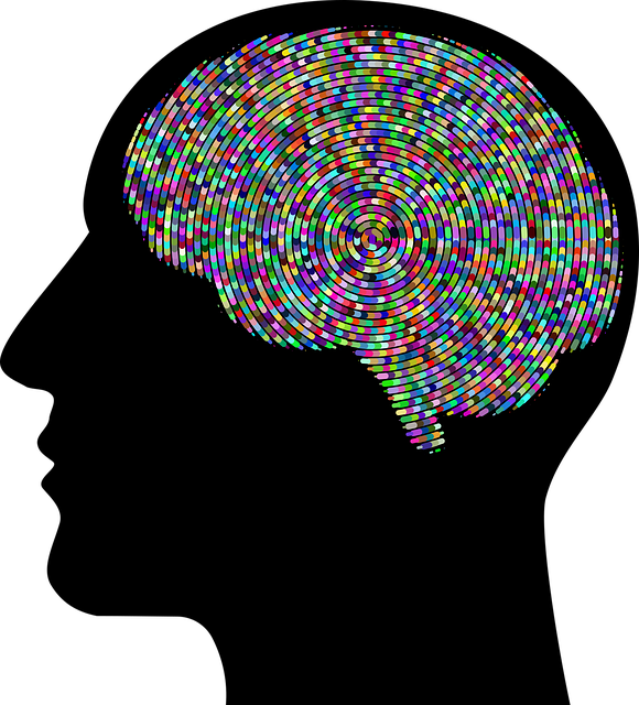 Illustration of mental health. Image by Gordon Johnson from Pixabay