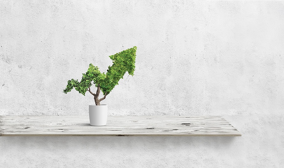 Reaping the Rewards: Using NFPA 70B to grow revenue and increase profitability