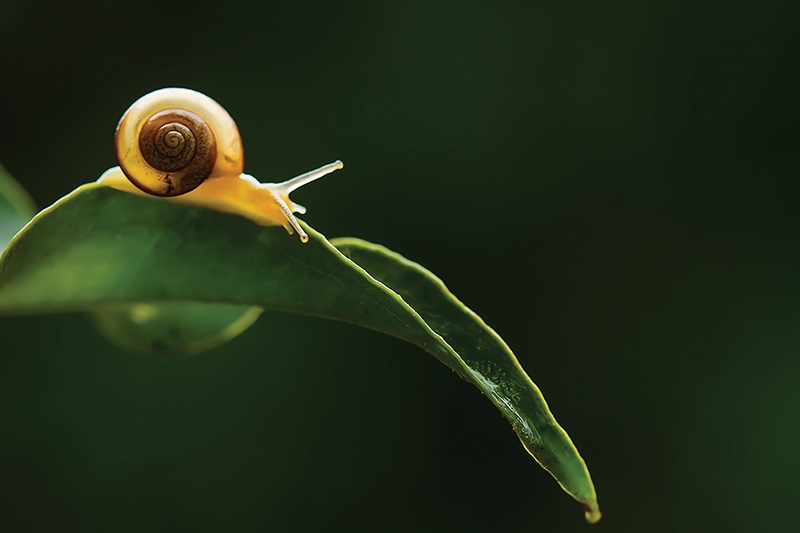AdobeStock_364383374