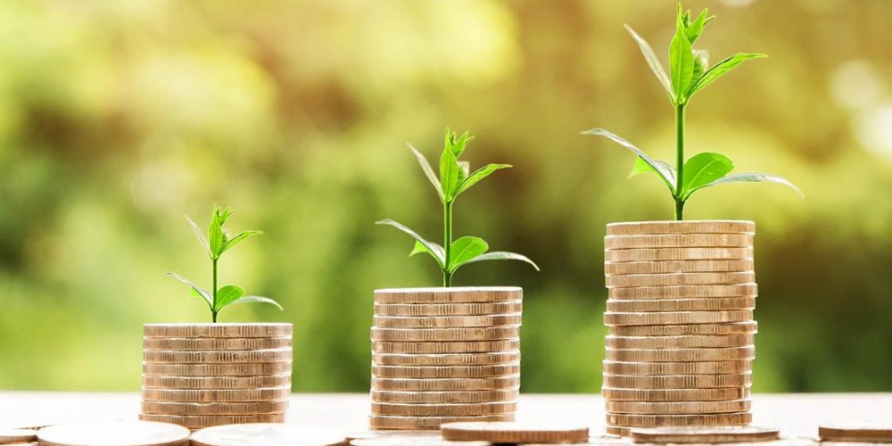 Green plants grow on top of stacks of coins. Image by Kanjana Jorruang / iStock.