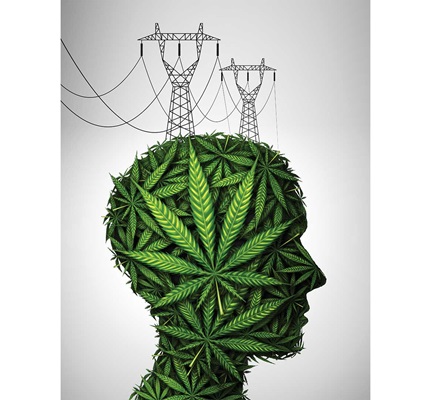 In the Weeds of Energy Use: Home marijuana growers in Michigan must follow proper guidelines