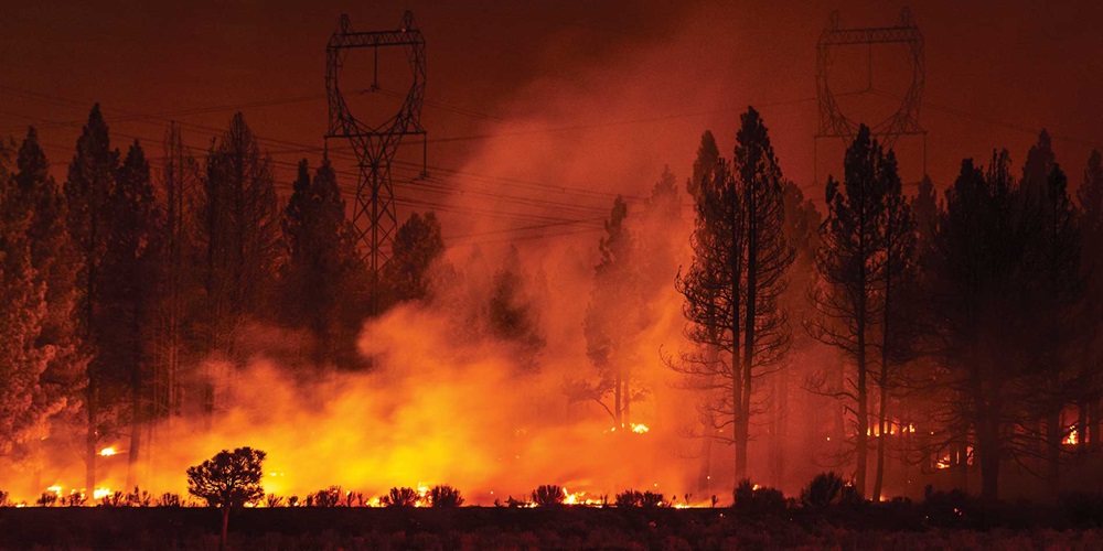 Black trees and transmission towers stand silhouetted against orange smoke and fire. Image by Shutterstock / My Photo Buddy.