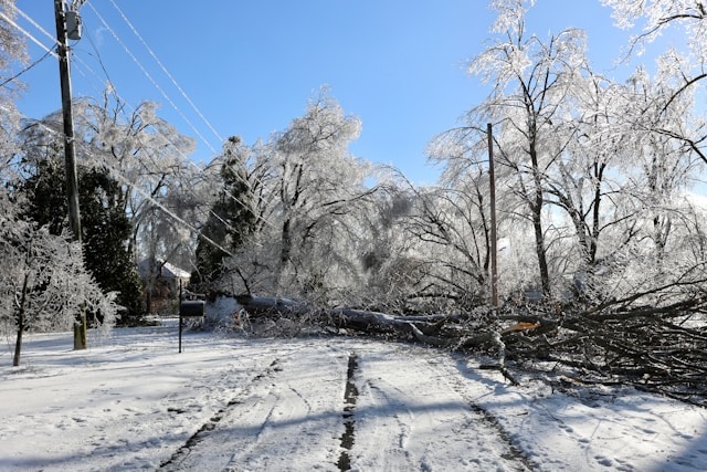 Fallen trees covered in ice block a road and cause damage to electrical distribution power lines in Nashville. Photo by Scott Greer on Unsplash.