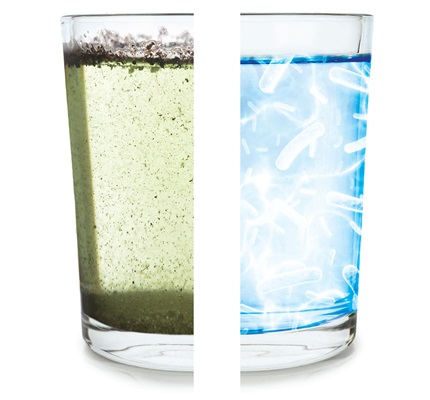 Effluent No More: Advances in converting wastewater into a valuable, multifaceted resource