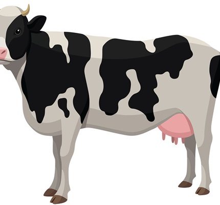 Taking Care of the Farm: Protecting livestock from stray voltages