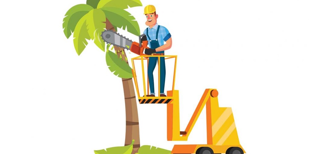 Illustration of a worker on a crane trimming a palm tree with a saw. Image by Shutterstock / pikepicture.