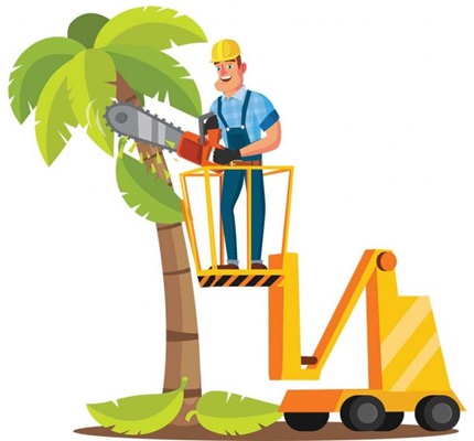 Rules and Tools for Tree Care: General industry standards for vegetation management