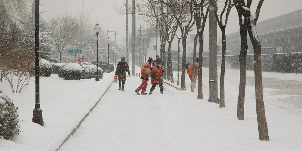 snowstorm_Image by PublicDomainPictures from Pixabay