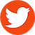 Twitter icon in orange