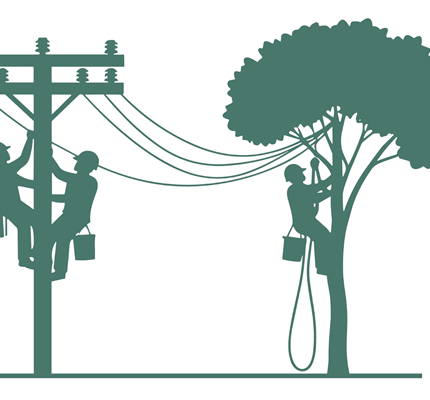 Contact with a Live Line: Accident review and how to prevent future incidents