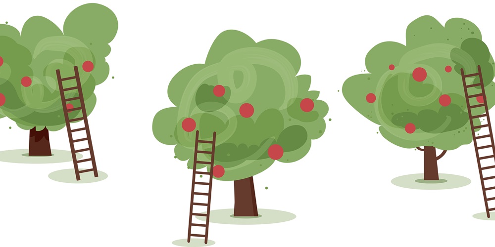 picking_fruit_apples_trees_orchard_think452193151.jpg
