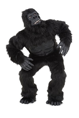 gorilla_suit_costume_iStock_000025436296Medium.jpg