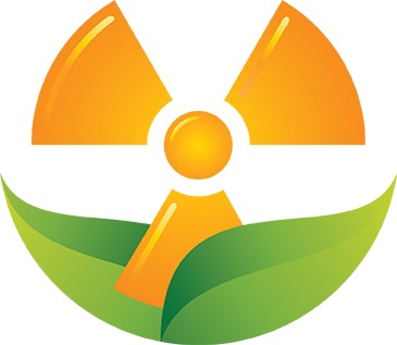 Nuclear's New Ideas Come In A Range Of Sizes