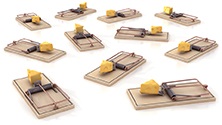 mousetraps_iStock_000022671656Small.jpg