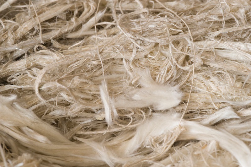 iStock_487696039.jpg