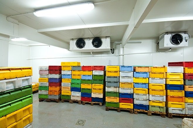 cold_storage_dreamstime_l_16485047.jpg