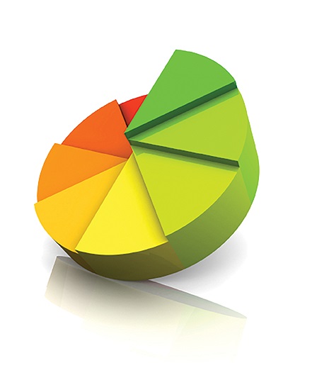 pie_charts_iStock_000005997838Small.jpg