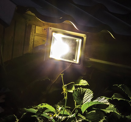 LED Forecast