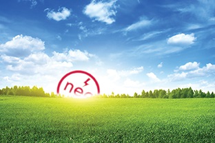 horizon_sunrise_field_grass_plain_sunny_shutterstock_70779412.jpg