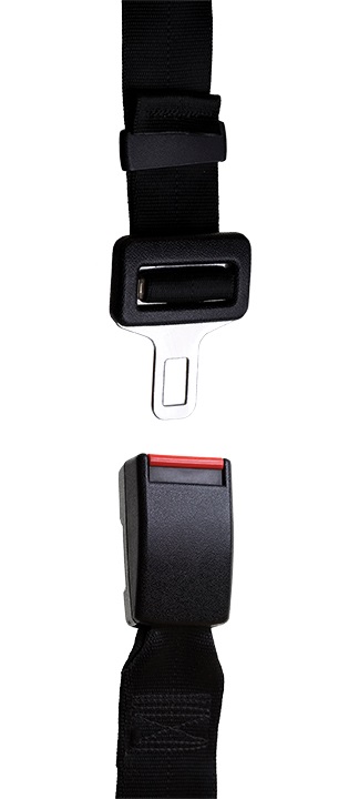 seat_buckle_iStock_000006533384_Full.jpg