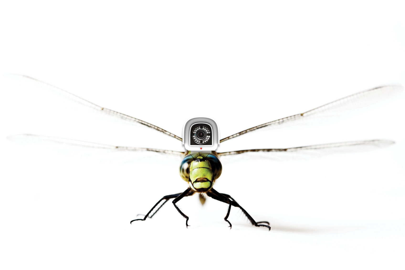 Brace Yourself Electrical Contractor Magazine