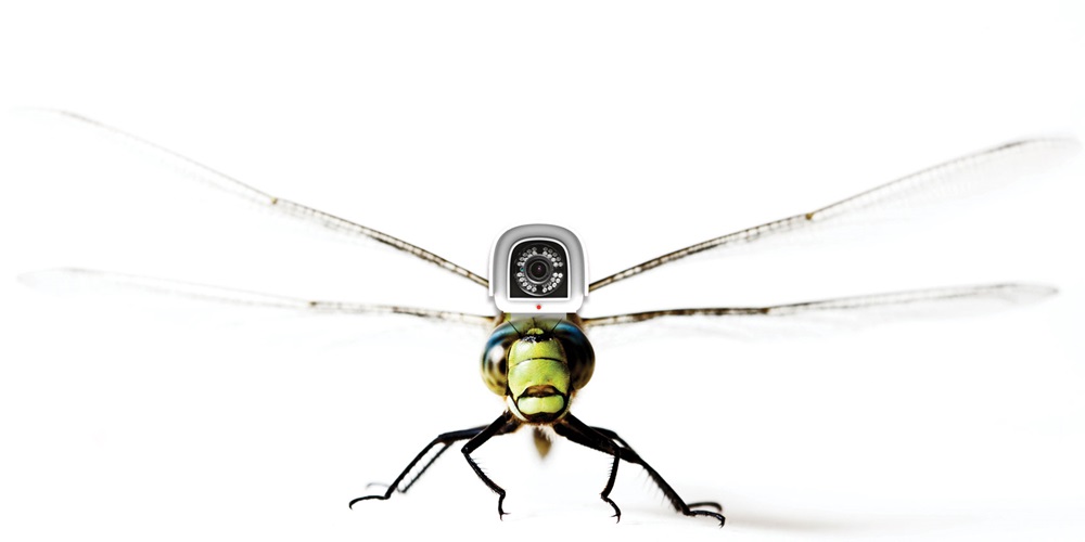iStock_7066620_MEDIUM.jpg
