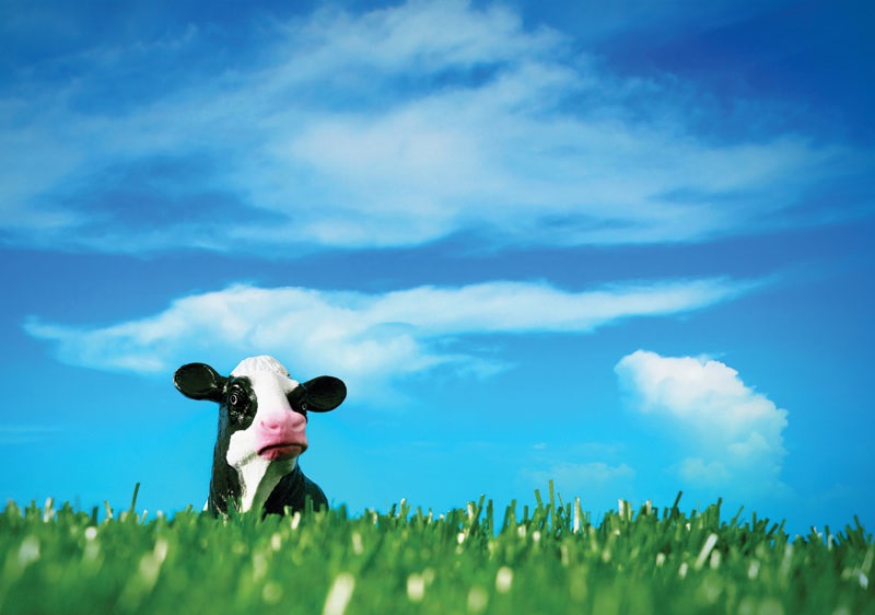 iStock-157308689.jpg
