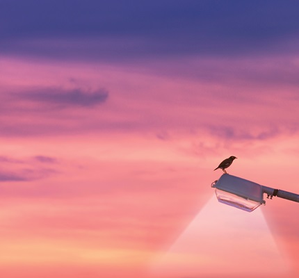One for the Road: Roadway Lighting