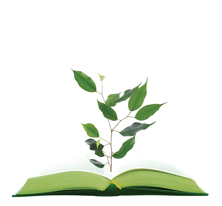 book_tree_sprout_think144296386.jpg