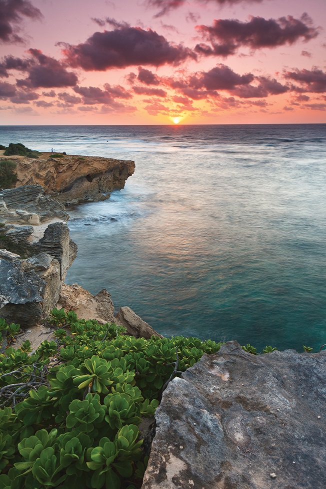 Kauaian Sunrise_iStock_000019433258Large.jpg