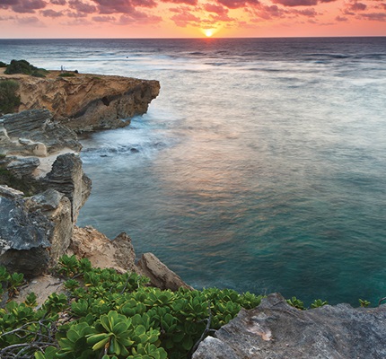 Aloha Clean Energy